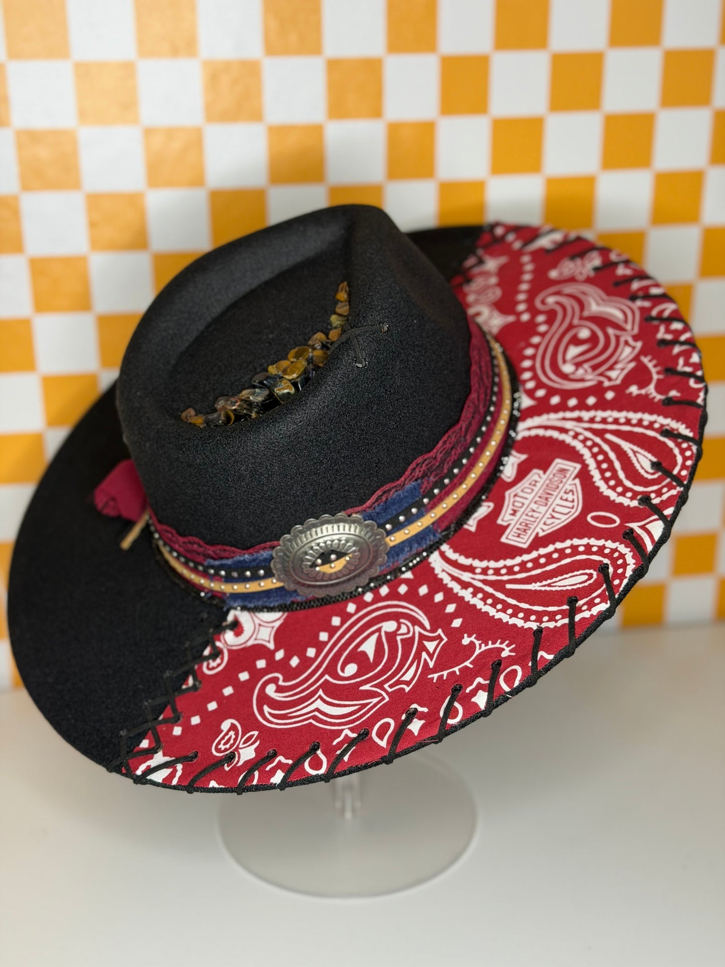 The Scarlet Outlaw