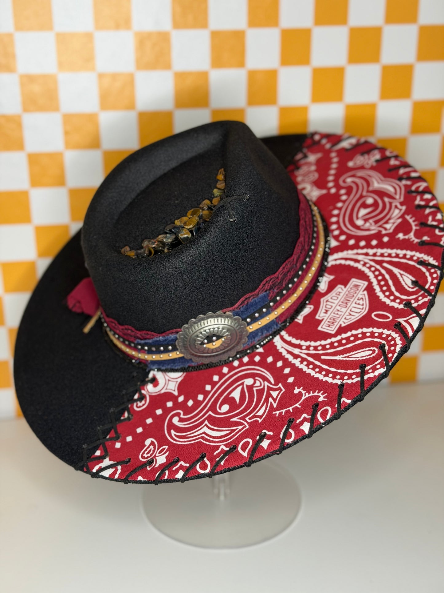 The Scarlet Outlaw