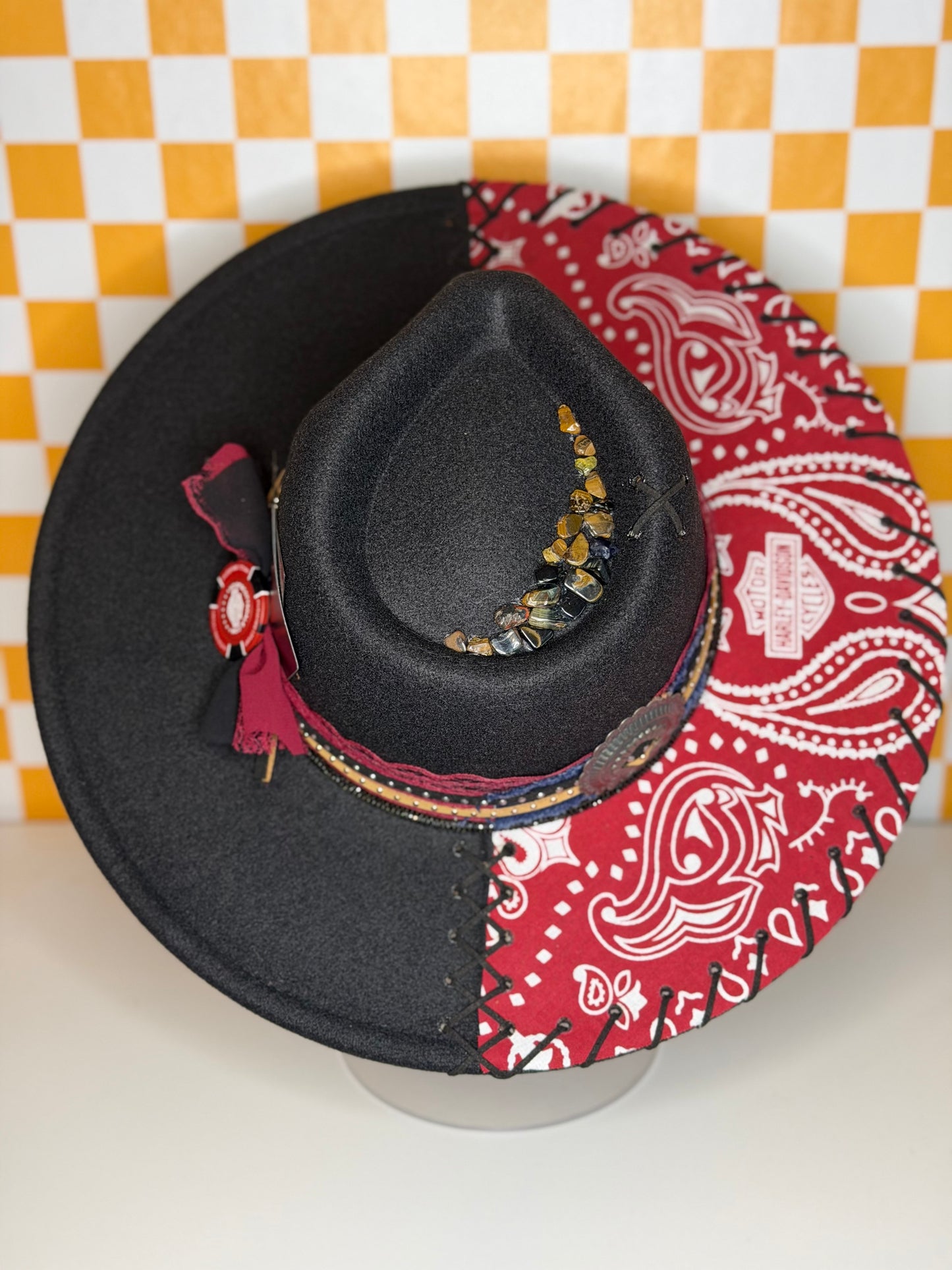 The Scarlet Outlaw